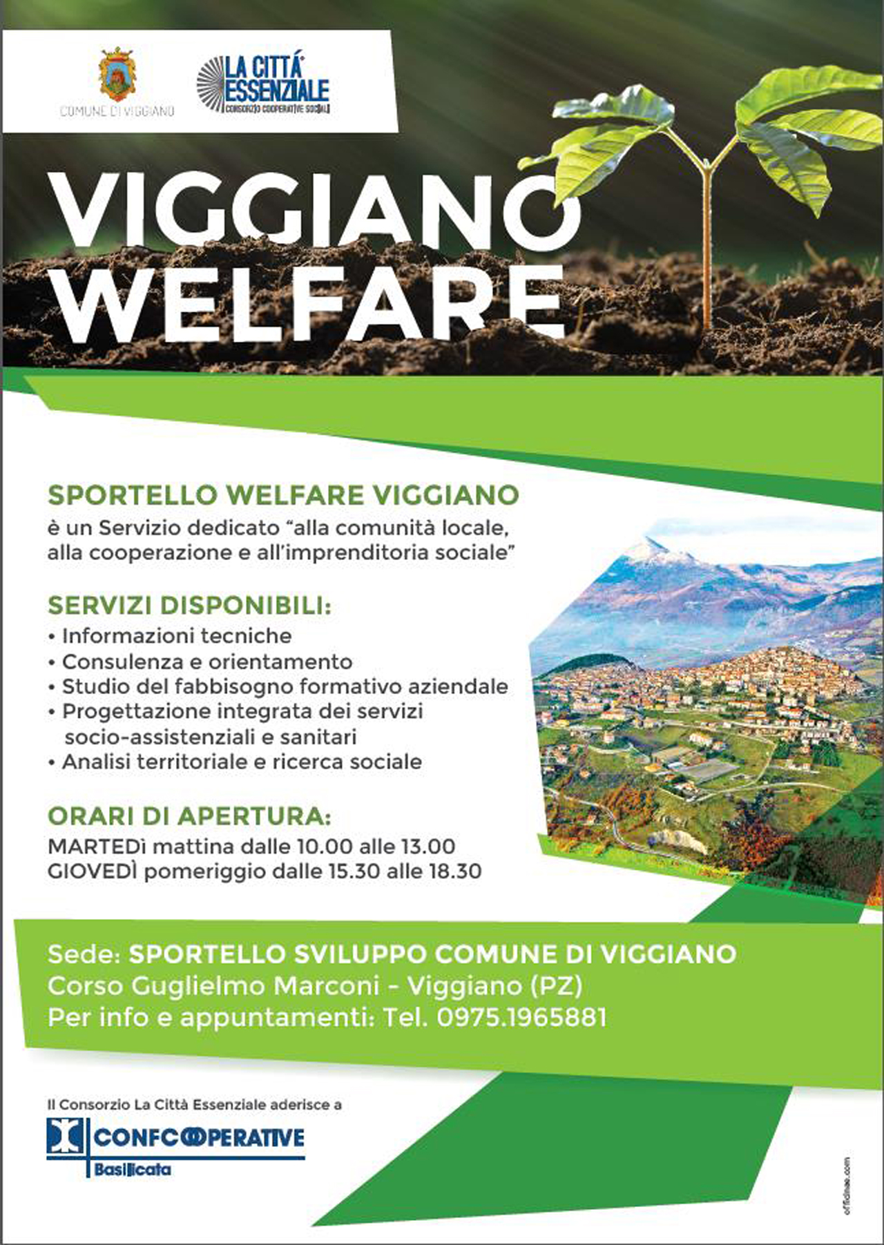 ViggianoWelfare2