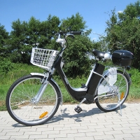 Bicicletta elettrica