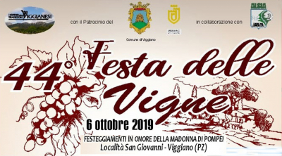 44^ Edizione della Festa delle Vigne